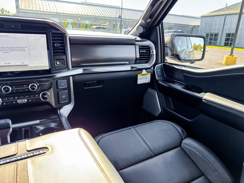 New 2026 Ford F-150 Platinum - photo - 19