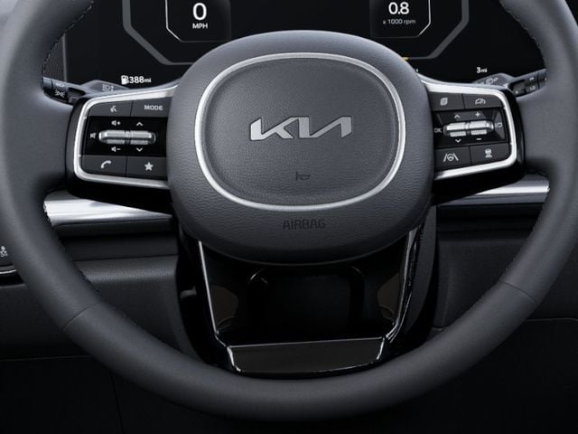 New 2026 Kia Carnival SX - photo - 21