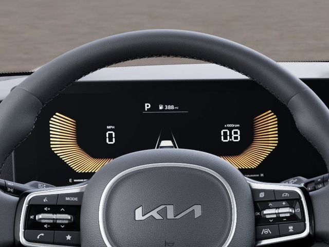 New 2026 Kia Carnival EX - photo - 20