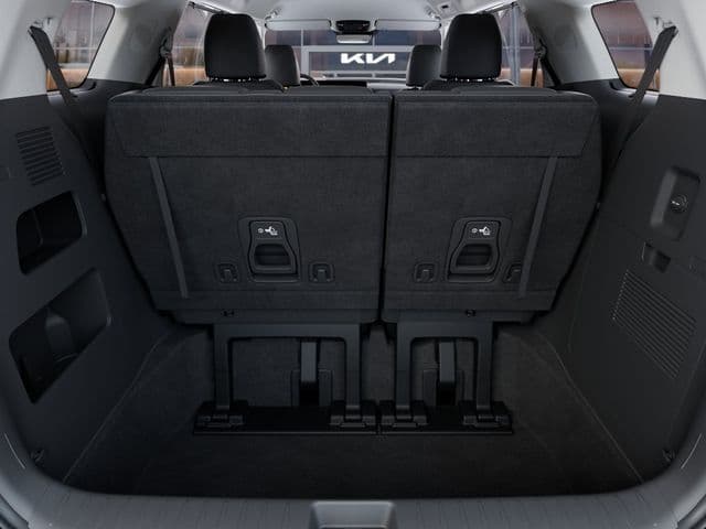 New 2027 Kia Carnival EX - photo - 18