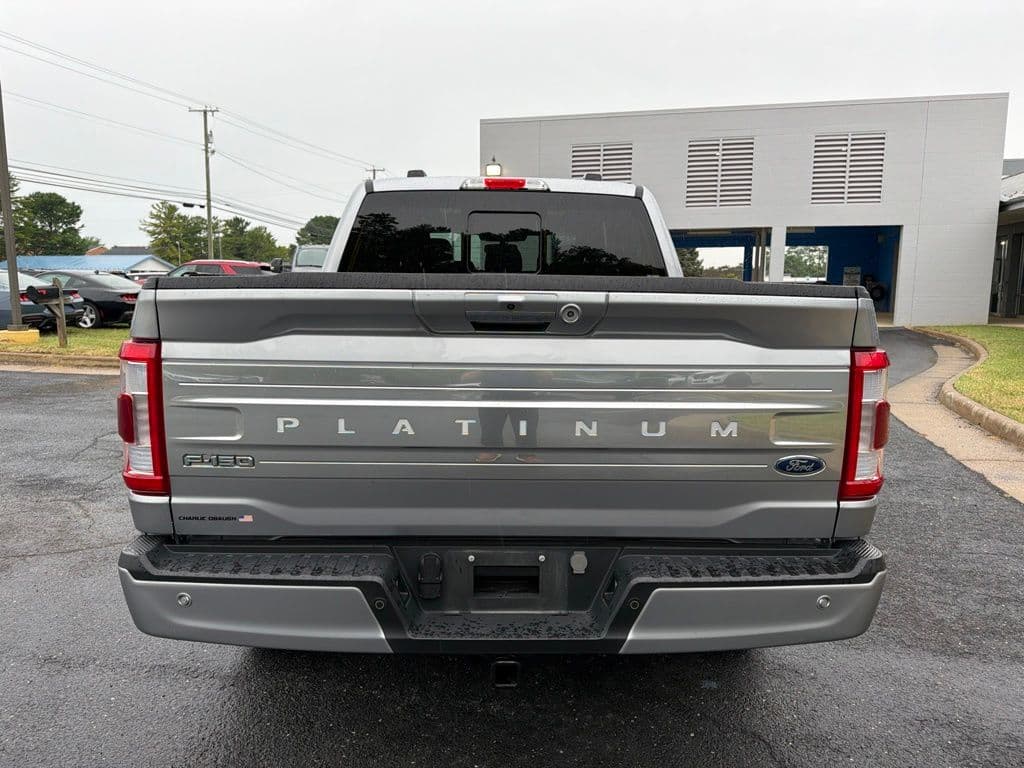 2023 Ford F-150 Platinum Photo in Waynesboro VA 22980